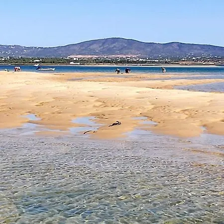 Casa Sonhos Da Baixa-downtown Dreams